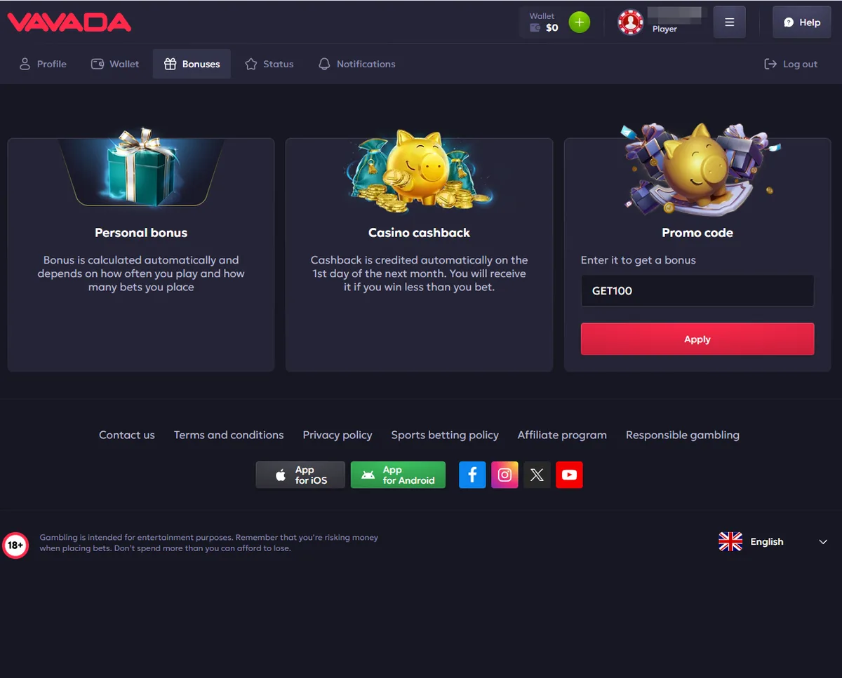 The promo code field on the Vavada Casino registration form with GET100 typed in